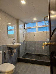 Lakeview Estate (D20), Apartment #598473371